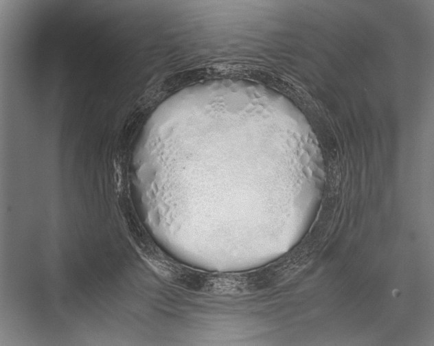 X0000075410703200610061957