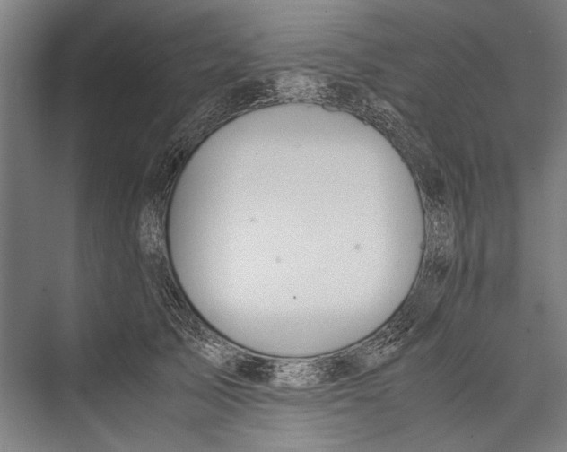 X0000075410705200610061957