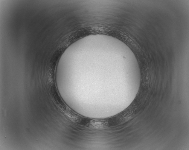 X0000075410706200610061957