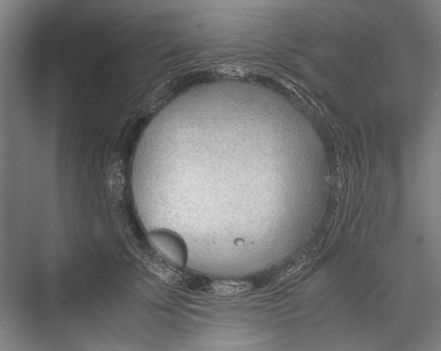 X0000075410707200610061957