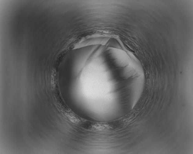 X0000075410712200610061957