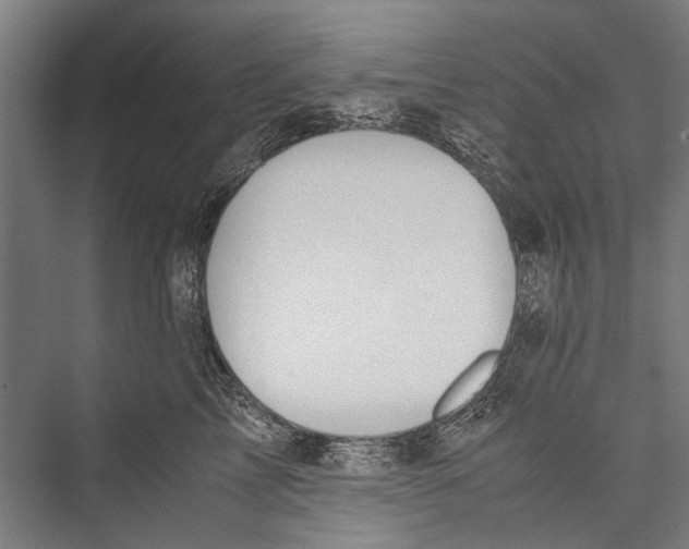 X0000075410713200610061957