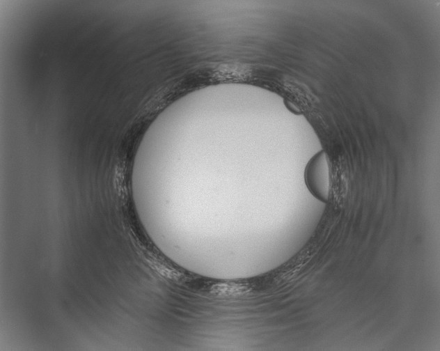 X0000075410714200610061957