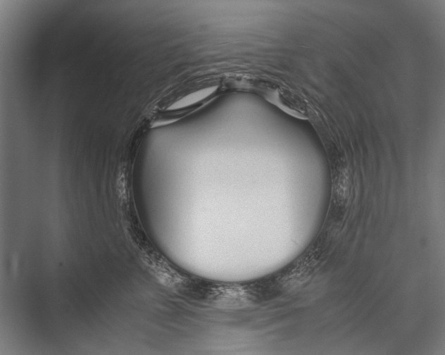 X0000075410715200610061957