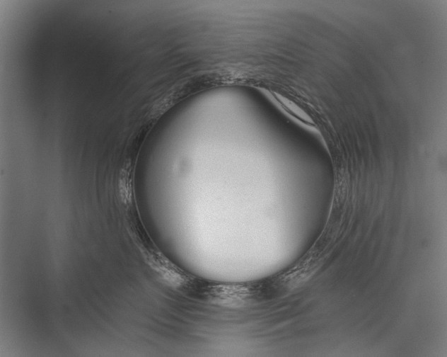 X0000075410719200610061957