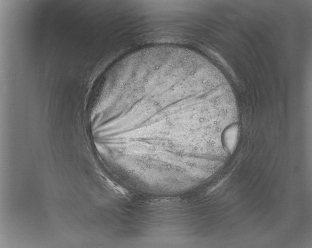 X0000075410721200610061956