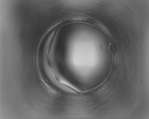 X0000075410722200610061956