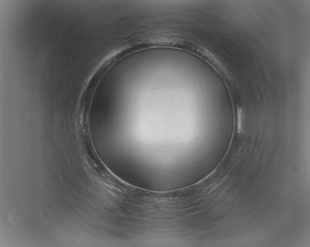 X0000075410723200610061956