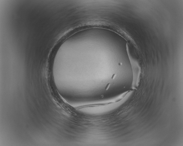 X0000075410724200610061956