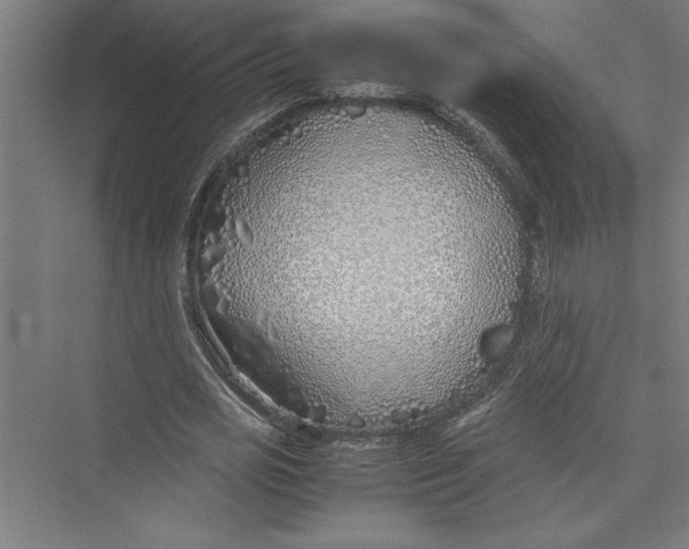 X0000075410725200610061956