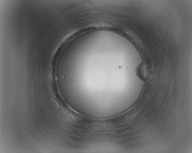 X0000075410727200610061956