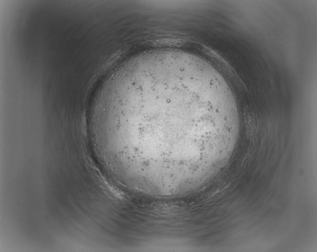 X0000075410729200610061957