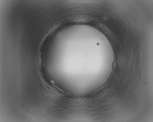 X0000075410731200610061957