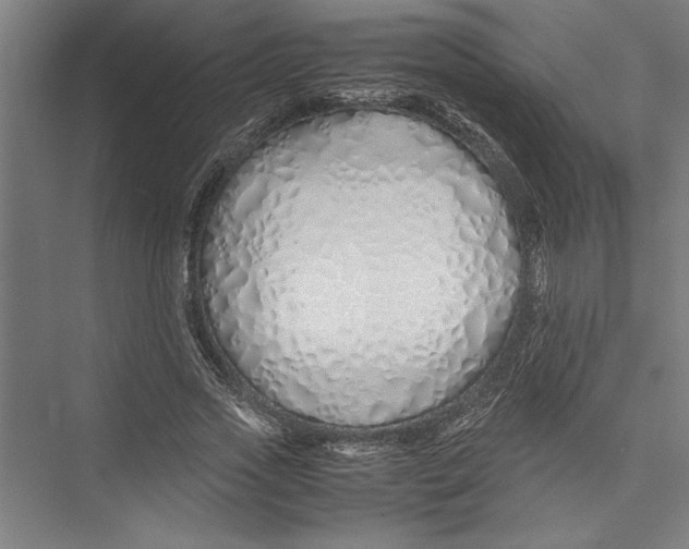 X0000075410733200610061957