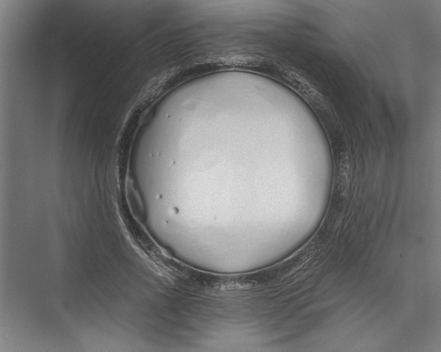 X0000075410734200610061957