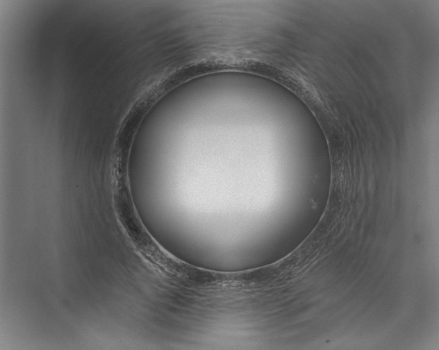 X0000075410736200610061957