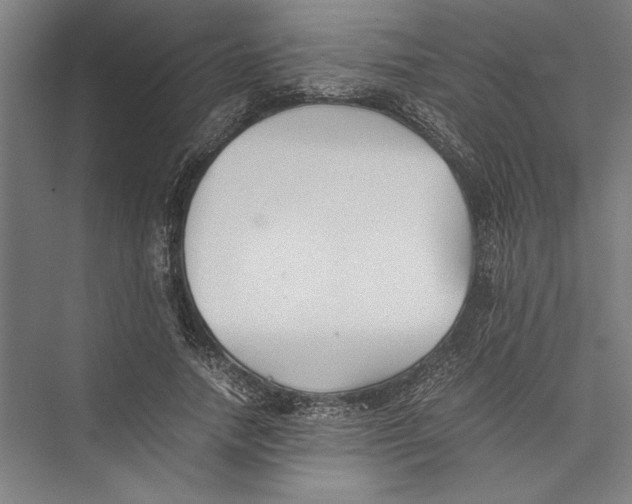 X0000075410738200610061957