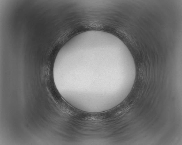 X0000075410739200610061957