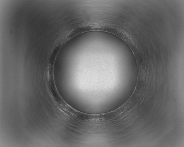 X0000075410740200610061957