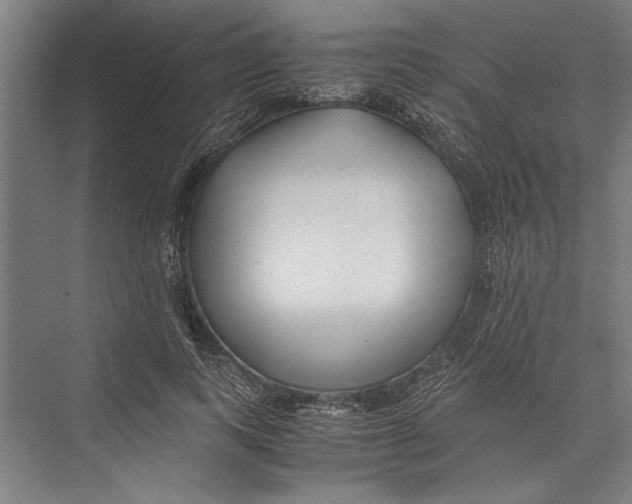 X0000075410743200610061957