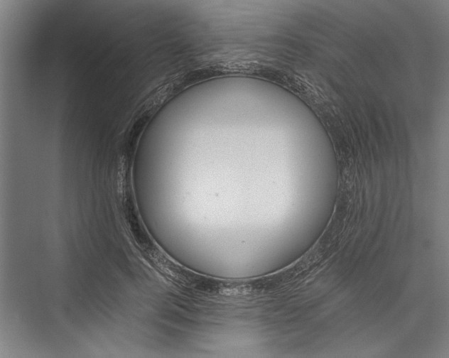 X0000075410744200610061957