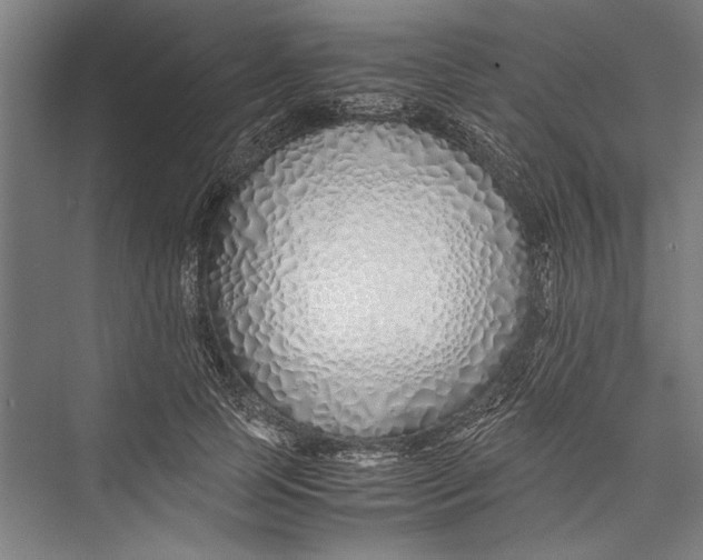 X0000075410745200610061957