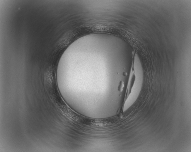 X0000075410746200610061957