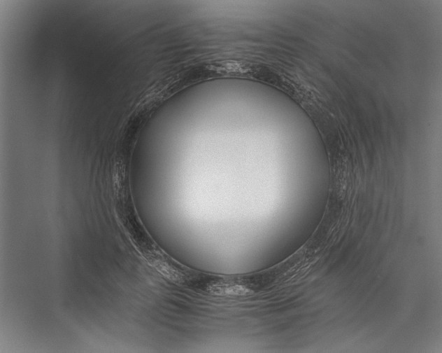 X0000075410747200610061957