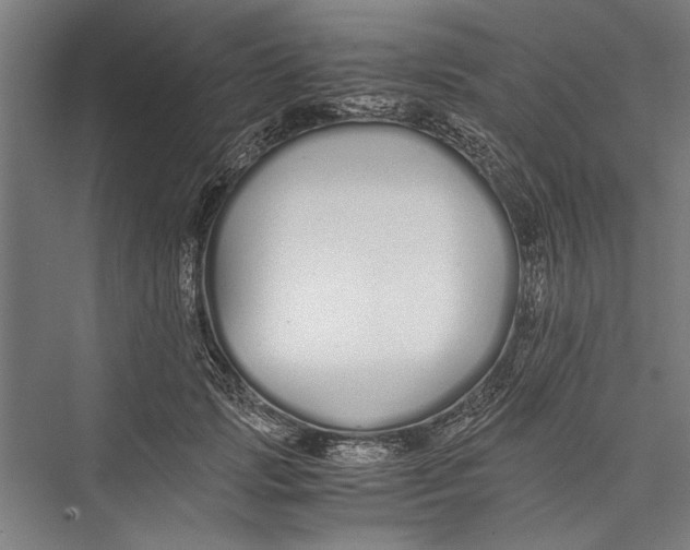 X0000075410749200610061957