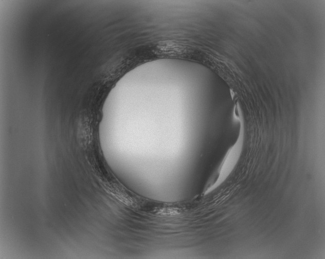 X0000075410751200610061957