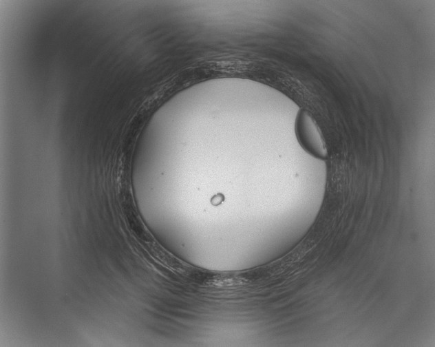 X0000075410752200610061957