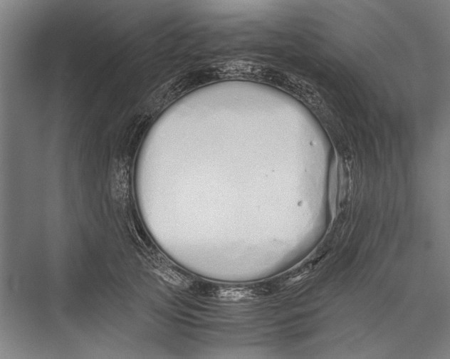 X0000075410753200610061957