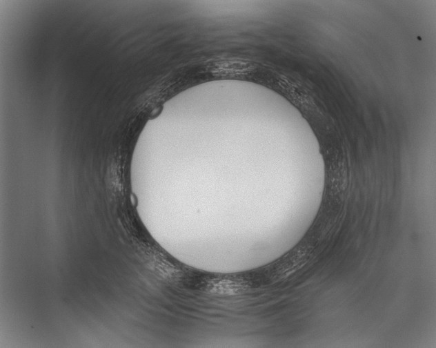 X0000075410755200610061957