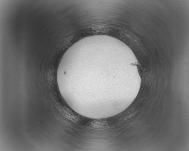 X0000075410756200610061957