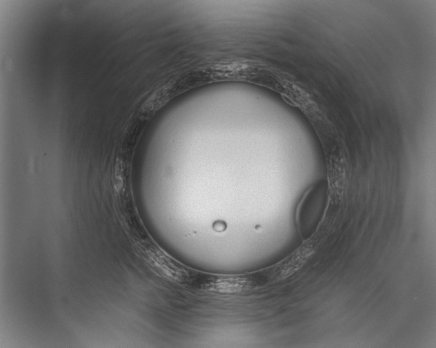 X0000075410758200610061957