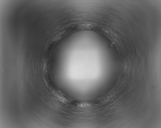 X0000075410759200610061957