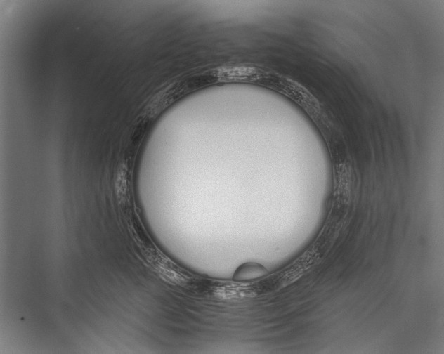 X0000075410761200610061957