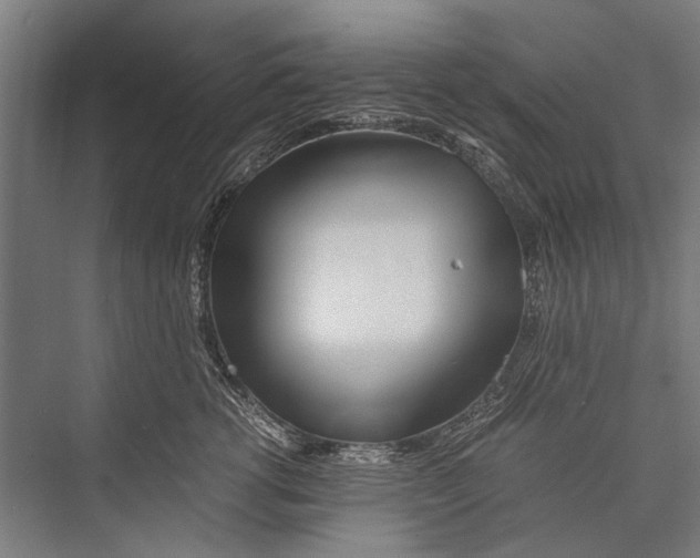 X0000075410762200610061957