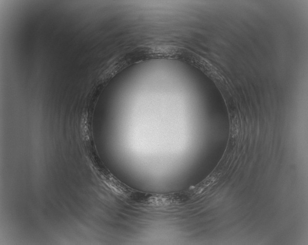 X0000075410764200610061957