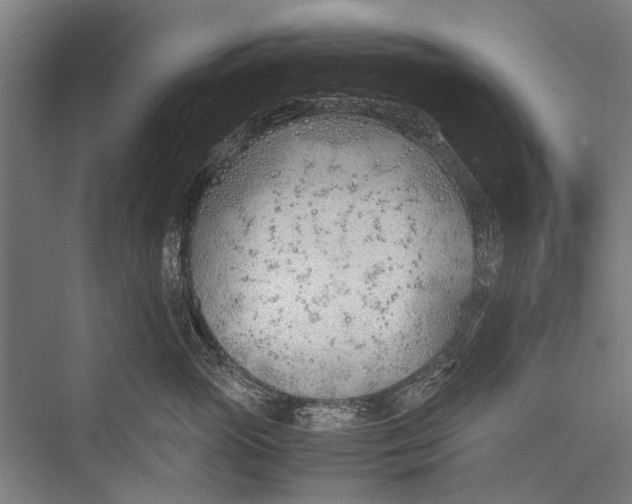 X0000075410765200610061957