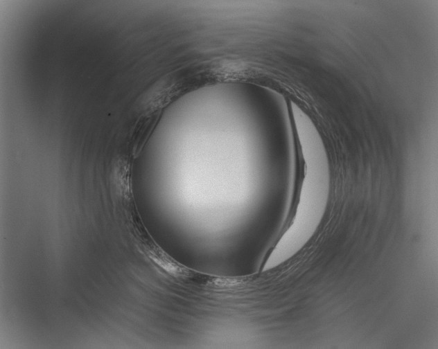 X0000075410766200610061957