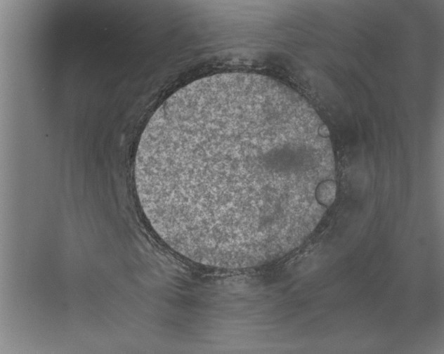 X0000075410769200610061956