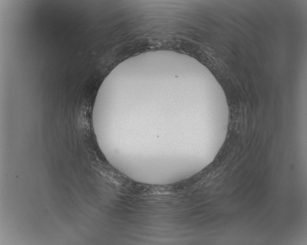 X0000075410770200610061956