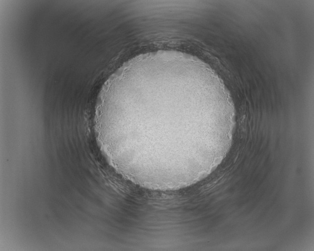 X0000075410772200610061956