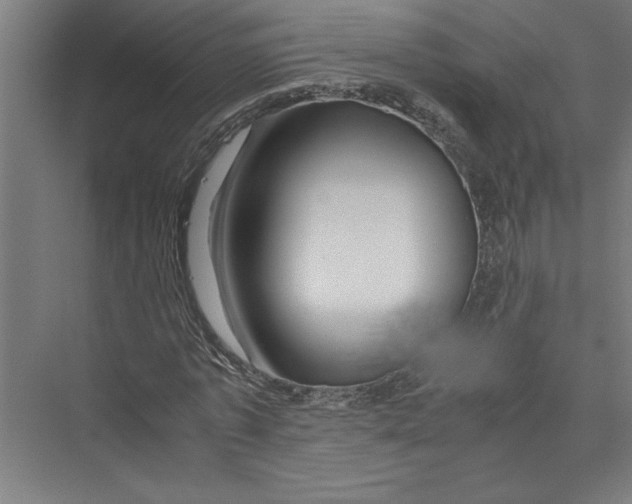 X0000075410773200610061956