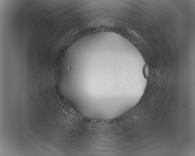 X0000075410774200610061956