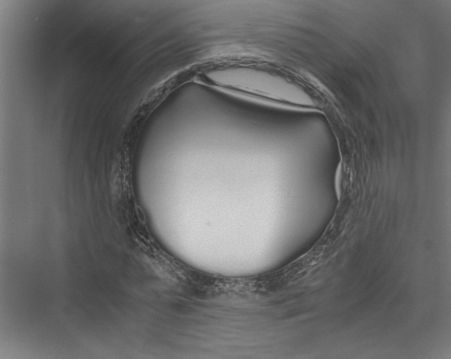 X0000075410775200610061956