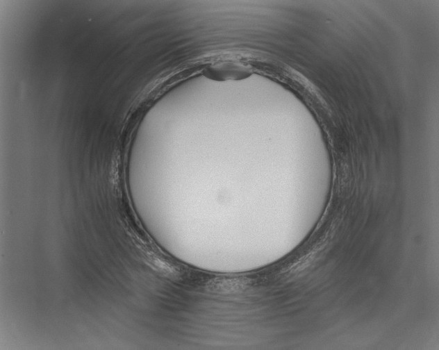 X0000075410778200610061956