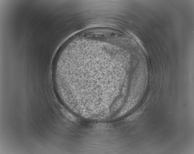 X0000075410779200610061956