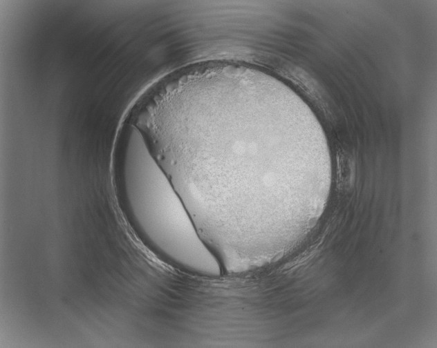 X0000075410780200610061956